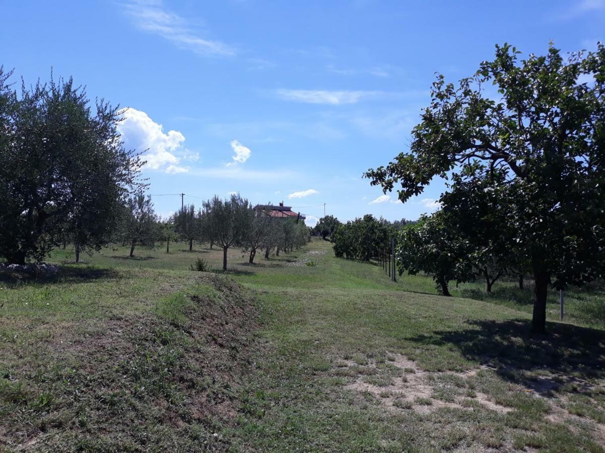 הוילה אנקראן House Barizoni מראה חיצוני תמונה