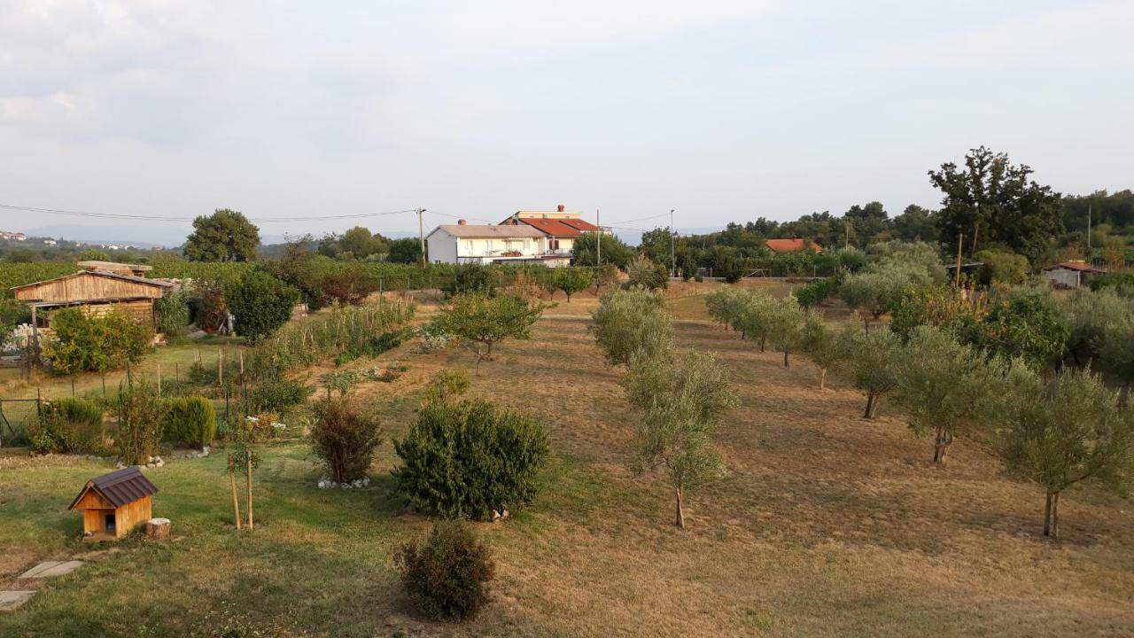 הוילה אנקראן House Barizoni מראה חיצוני תמונה